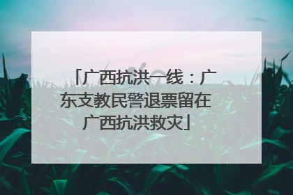 广西抗洪一线：广东支教民警退票留在广西抗洪救灾