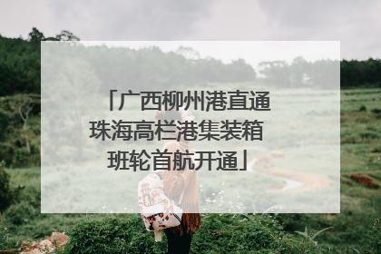 广西柳州港直通珠海高栏港集装箱班轮首航开通