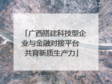 广西搭建科技型企业与金融对接平台 共育新质生产力