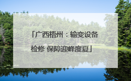 广西梧州：输变设备检修 保障迎峰度夏