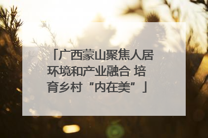广西蒙山聚焦人居环境和产业融合 培育乡村“内在美”