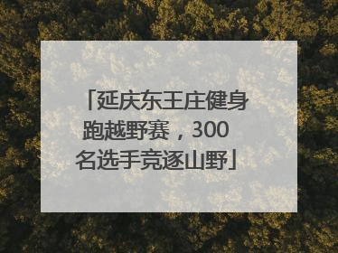 延庆东王庄健身跑越野赛，300名选手竞逐山野