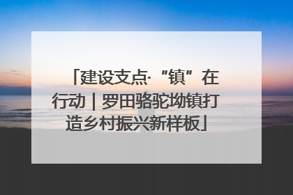 建设支点·“镇”在行动｜罗田骆驼坳镇打造乡村振兴新样板