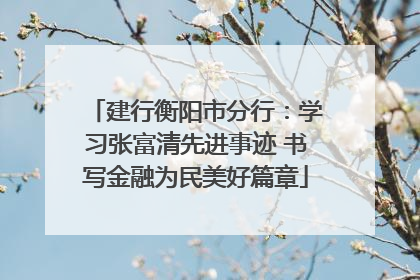 建行衡阳市分行：学习张富清先进事迹 书写金融为民美好篇章