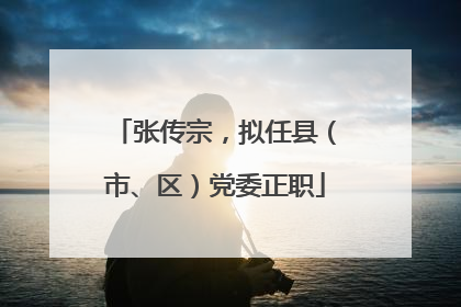 张传宗，拟任县（市、区）党委正职