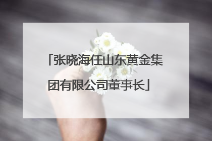 张晓海任山东黄金集团有限公司董事长
