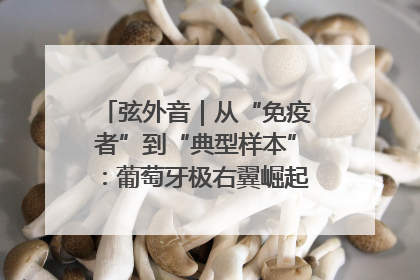 弦外音｜从“免疫者”到“典型样本”：葡萄牙极右翼崛起背后的欧洲困局