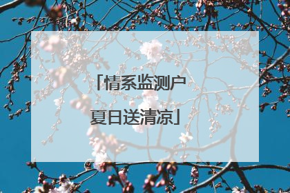 情系监测户 夏日送清凉