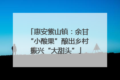 惠安紫山镇：余甘“小酸果”酿出乡村振兴“大甜头”
