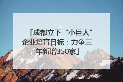 成都立下“小巨人”企业培育目标：力争三年新增350家