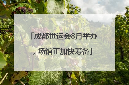 成都世运会8月举办，场馆正加快筹备