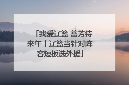 我爱辽篮 蓄芳待来年丨辽篮当针对阵容短板选外援