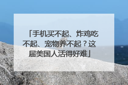 手机买不起、炸鸡吃不起、宠物养不起？这届美国人活得好难