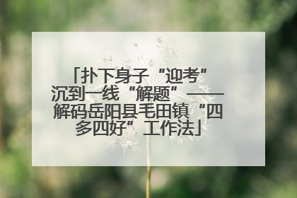 扑下身子“迎考” 沉到一线“解题”——解码岳阳县毛田镇“四多四好”工作法