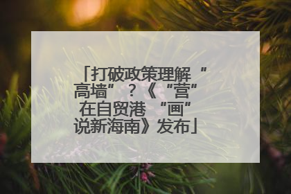 打破政策理解“高墙”？《“营”在自贸港 “画”说新海南》发布