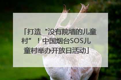 打造“没有院墙的儿童村”！中国烟台SOS儿童村举办开放日活动