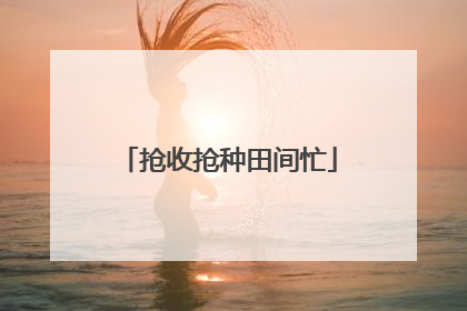 抢收抢种田间忙