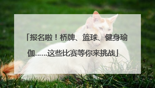 报名啦！桥牌、篮球、健身瑜伽……这些比赛等你来挑战