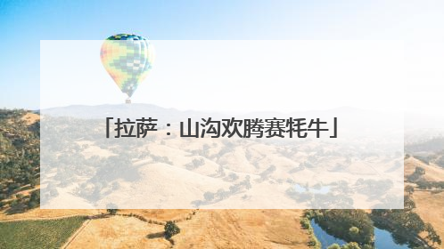 拉萨：山沟欢腾赛牦牛