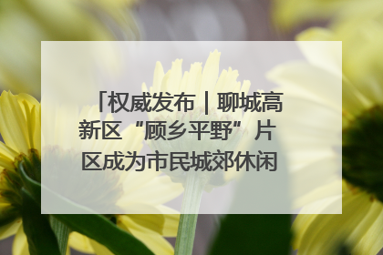 权威发布｜聊城高新区“顾乡平野”片区成为市民城郊休闲全新目的地