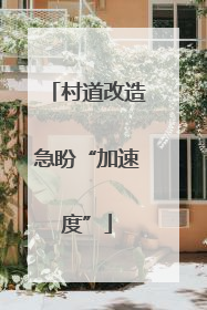 村道改造急盼“加速度”