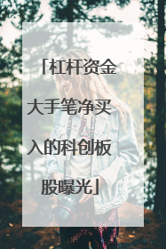 杠杆资金大手笔净买入的科创板股曝光