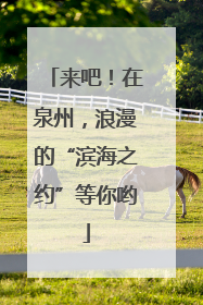 来吧！在泉州，浪漫的“滨海之约”等你哟