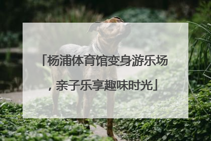 杨浦体育馆变身游乐场，亲子乐享趣味时光