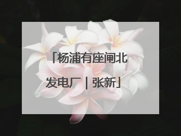 杨浦有座闸北发电厂｜张新