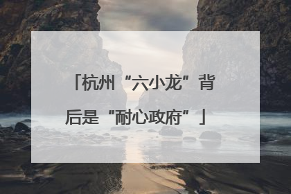杭州“六小龙”背后是“耐心政府”