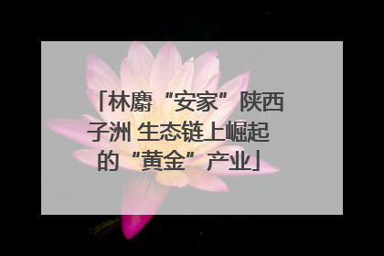 林麝“安家”陕西子洲 生态链上崛起的“黄金”产业
