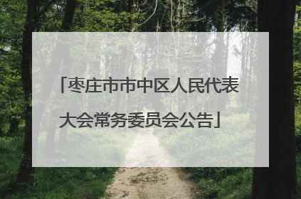 枣庄市市中区人民代表大会常务委员会公告