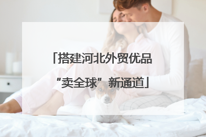 搭建河北外贸优品“卖全球”新通道