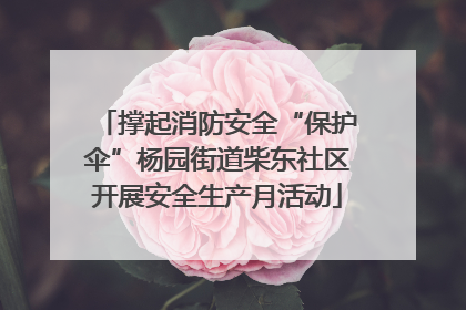 撑起消防安全“保护伞”杨园街道柴东社区开展安全生产月活动