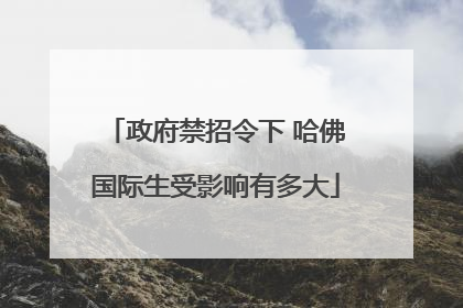 政府禁招令下 哈佛国际生受影响有多大