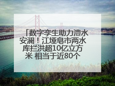 数字孪生助力澧水安澜！江垭皂市两水库拦洪超10亿立方米 相当于近80个西湖水量