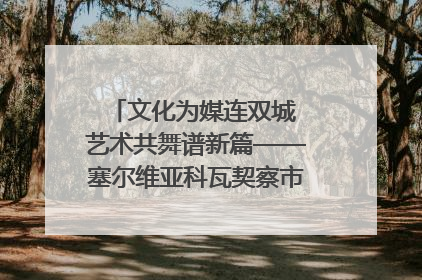 文化为媒连双城 艺术共舞谱新篇——塞尔维亚科瓦契察市代表团访问日照