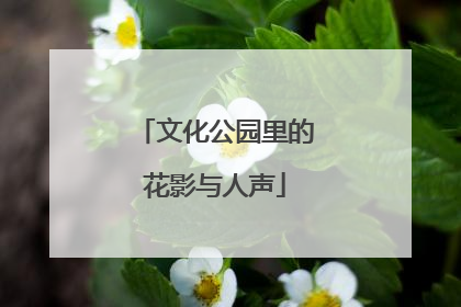 文化公园里的花影与人声