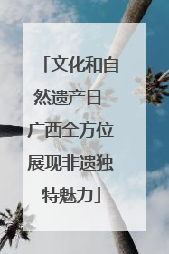 文化和自然遗产日 广西全方位展现非遗独特魅力