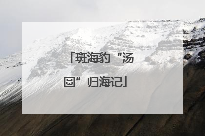 斑海豹“汤圆”归海记