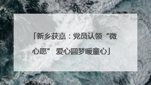 新乡获嘉：党员认领“微心愿” 爱心圆梦暖童心