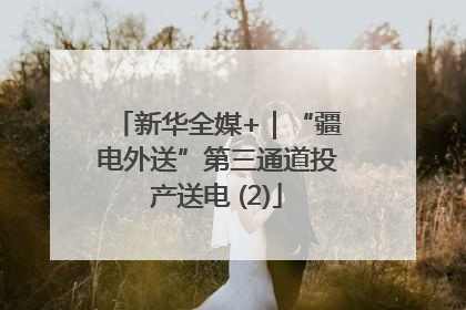 新华全媒+｜“疆电外送”第三通道投产送电 (2)