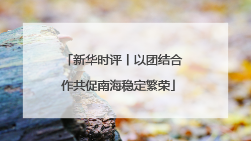 新华时评丨以团结合作共促南海稳定繁荣