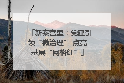 新泰宫里：党建引领“微治理” 点亮基层“网格红”