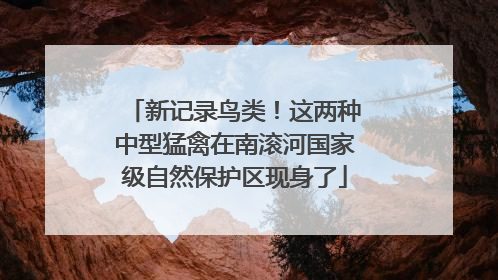 新记录鸟类！这两种中型猛禽在南滚河国家级自然保护区现身了