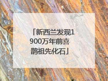 新西兰发现1900万年前喜鹊祖先化石