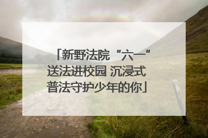 新野法院“六一”送法进校园 沉浸式普法守护少年的你