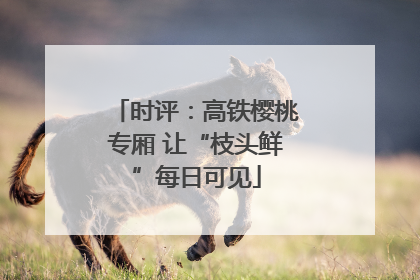 时评：高铁樱桃专厢 让“枝头鲜”每日可见