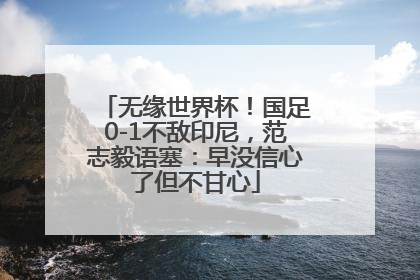 无缘世界杯！国足0-1不敌印尼，范志毅语塞：早没信心了但不甘心