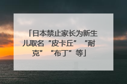 日本禁止家长为新生儿取名“皮卡丘”“耐克”“布丁”等